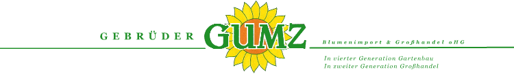 Logo Gebrueder Gumz oHG